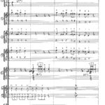 Pulicosis Rhumba score p1