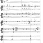 Pulicosis Rhumba score p3